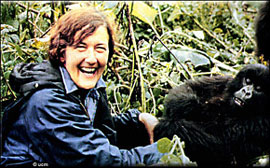 dian fossey